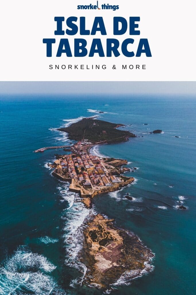 Isla de Tabarca snorkeling & more | My top tips!