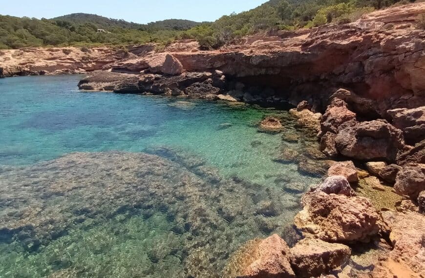 Snorkeling in Ibiza | 11 perfect snorkel beaches