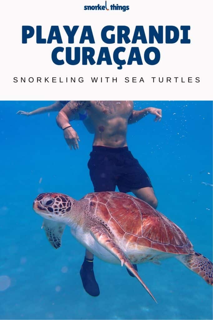 Playa Grandi Curaçao: Snorkeling with sea turtles!