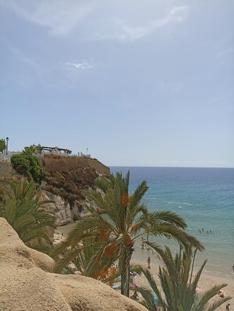 Benidorm shoreline with palm trees