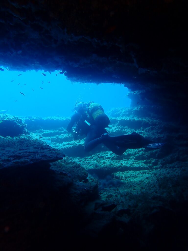 Diving at Benidorm island underwater photo