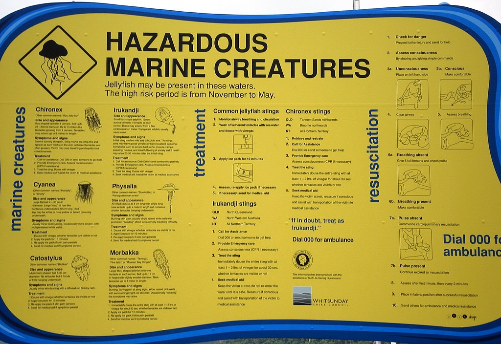 Jellyfish warning sign with ID information. 