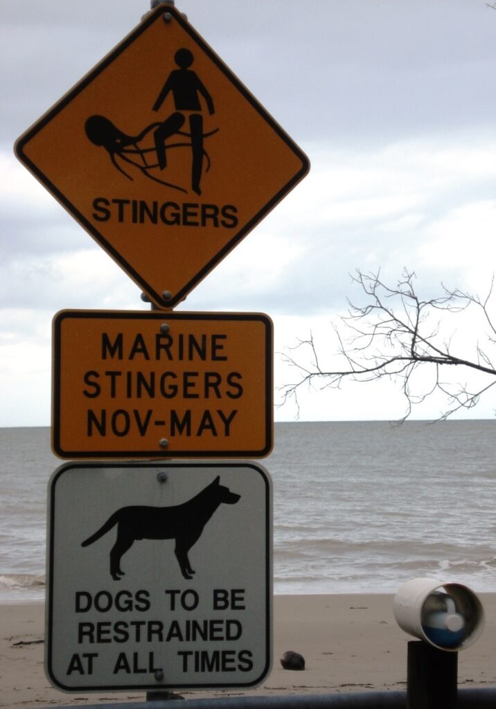 Jellyfish warning sign at a beach.